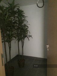Charlton Residences (D19), Terrace #107452592